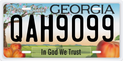 GA license plate QAH9099