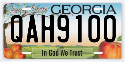 GA license plate QAH9100