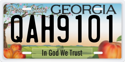 GA license plate QAH9101