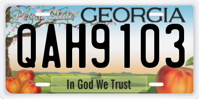 GA license plate QAH9103