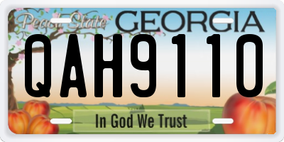 GA license plate QAH9110