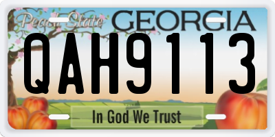 GA license plate QAH9113