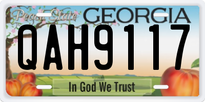 GA license plate QAH9117