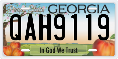GA license plate QAH9119