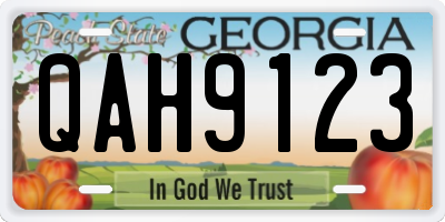 GA license plate QAH9123