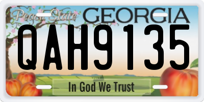 GA license plate QAH9135