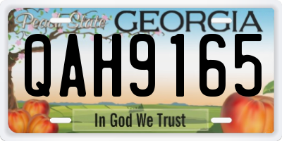 GA license plate QAH9165