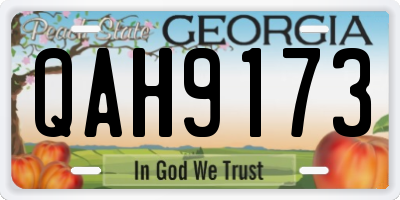 GA license plate QAH9173