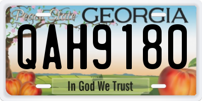 GA license plate QAH9180