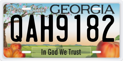 GA license plate QAH9182