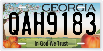 GA license plate QAH9183