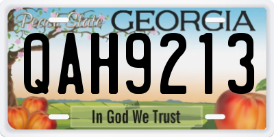GA license plate QAH9213
