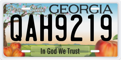 GA license plate QAH9219