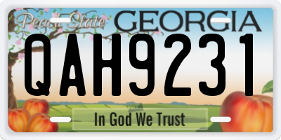 GA license plate QAH9231