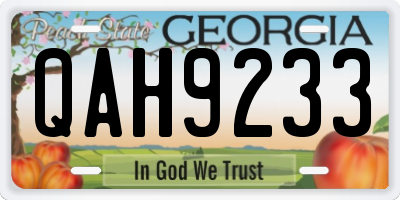 GA license plate QAH9233