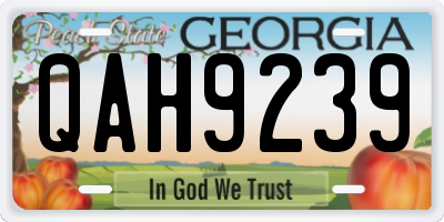 GA license plate QAH9239