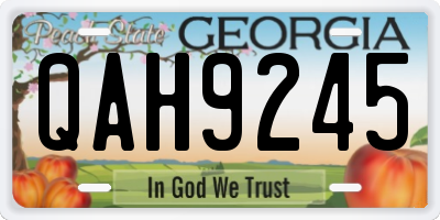 GA license plate QAH9245