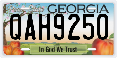 GA license plate QAH9250