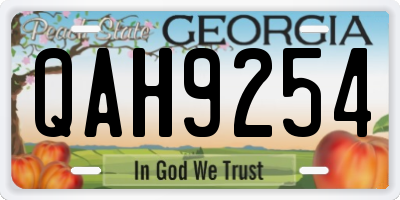 GA license plate QAH9254
