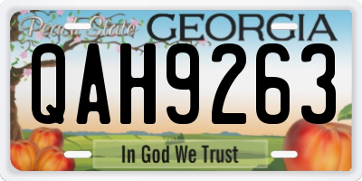 GA license plate QAH9263