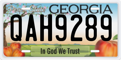 GA license plate QAH9289