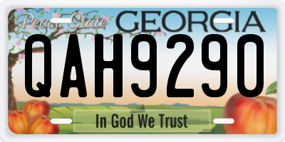 GA license plate QAH9290