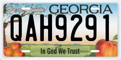GA license plate QAH9291