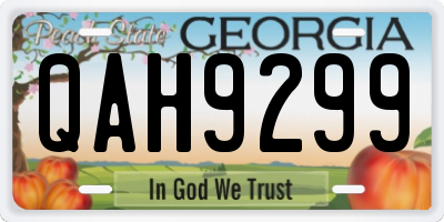 GA license plate QAH9299