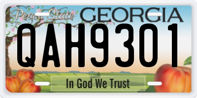 GA license plate QAH9301
