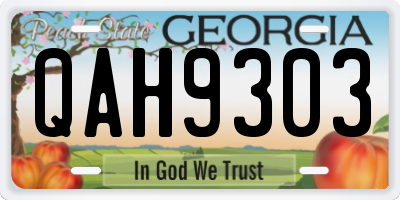 GA license plate QAH9303