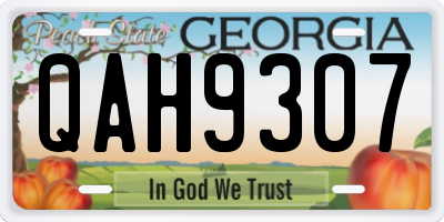 GA license plate QAH9307