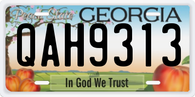GA license plate QAH9313