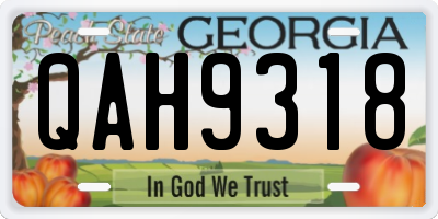 GA license plate QAH9318