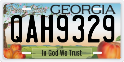 GA license plate QAH9329