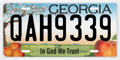 GA license plate QAH9339