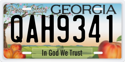 GA license plate QAH9341