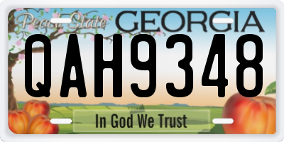 GA license plate QAH9348