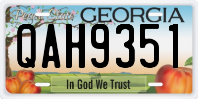 GA license plate QAH9351