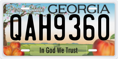 GA license plate QAH9360
