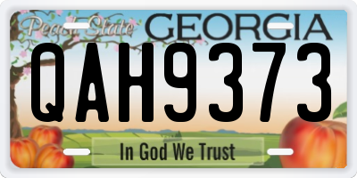 GA license plate QAH9373
