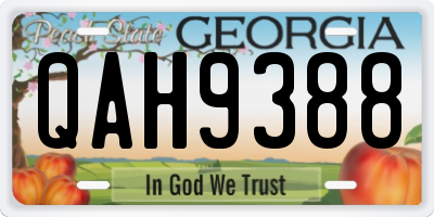 GA license plate QAH9388
