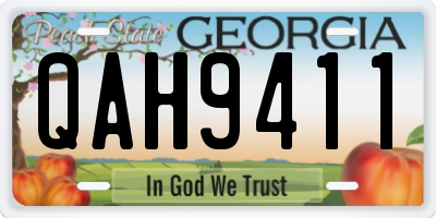 GA license plate QAH9411