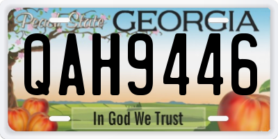 GA license plate QAH9446