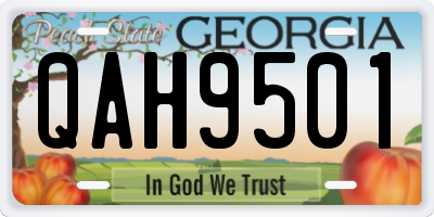 GA license plate QAH9501