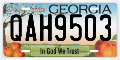 GA license plate QAH9503