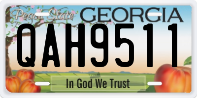 GA license plate QAH9511