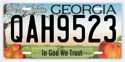 GA license plate QAH9523