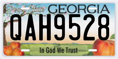 GA license plate QAH9528