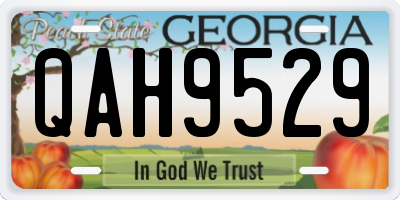 GA license plate QAH9529