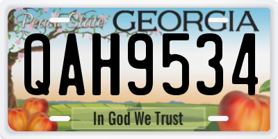 GA license plate QAH9534